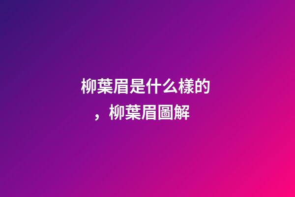 柳葉眉是什么樣的，柳葉眉圖解